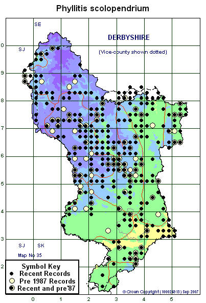 2 kilometre map image